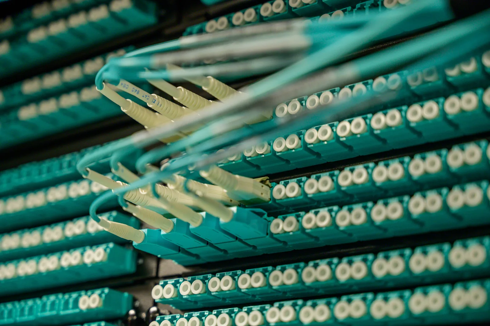 Fiber-optic patch cords connected to a distribution panel