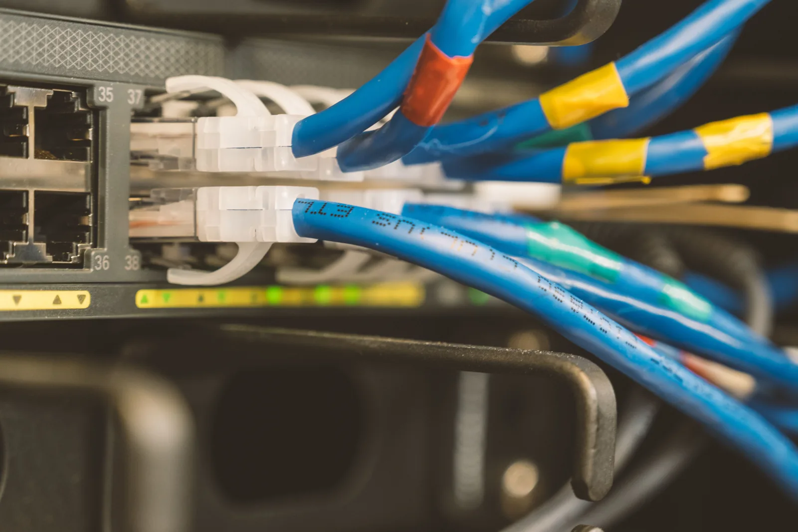 Blue Ethernet cables terminated at a network switch